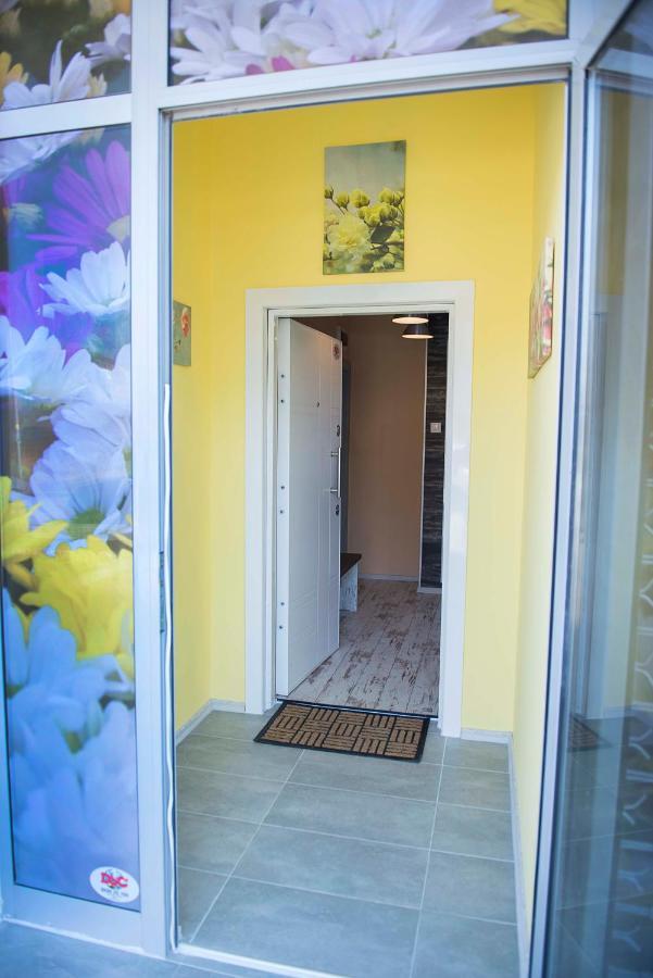 Flower House 1 * Sofia